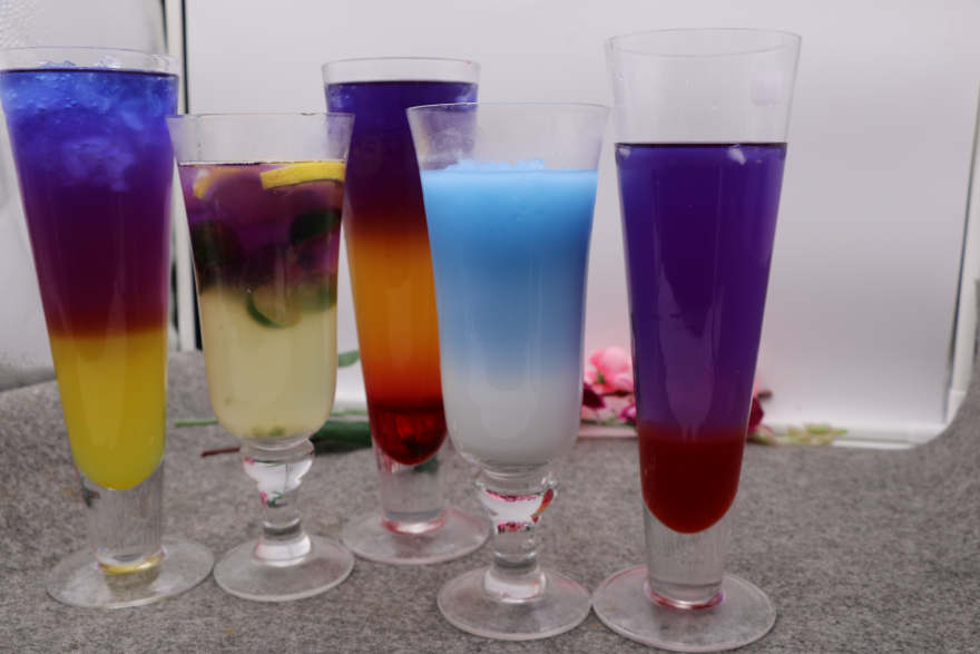 西安泰国蝶豆花培训
